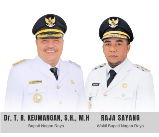Pejabat Pemerintah Kabupaten Nagan Raya